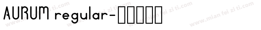 AURUM regular字体转换